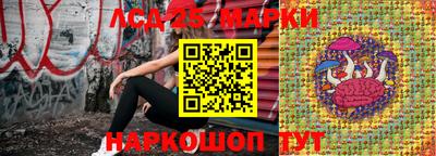 СК Заводоуковск