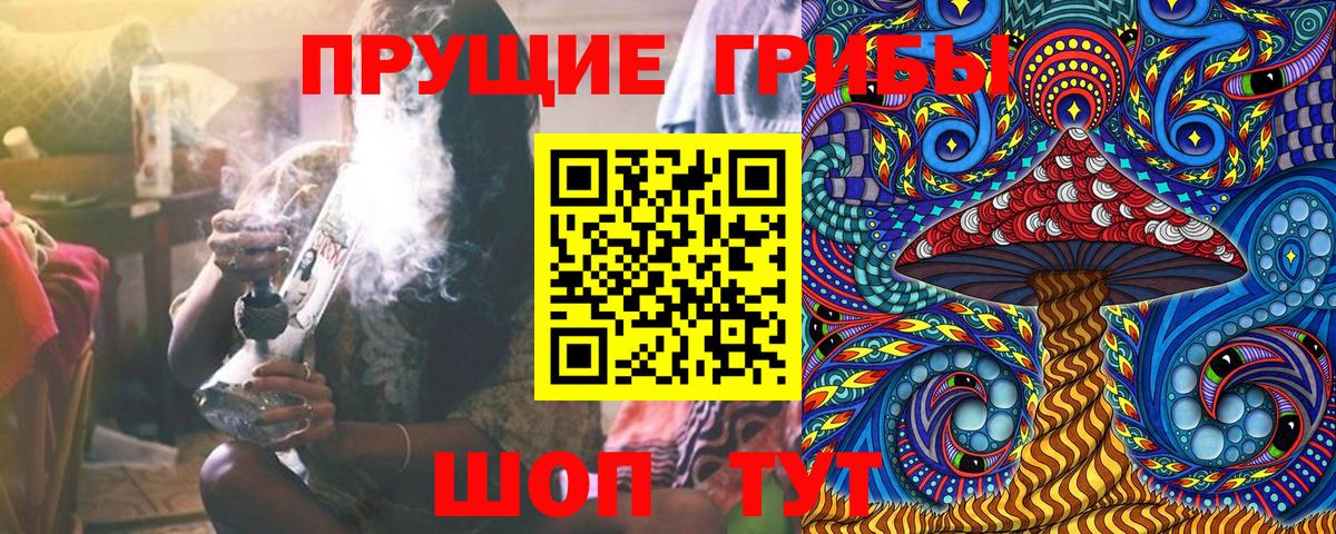 Псилоцибиновые грибы прущие грибы Мичуринск