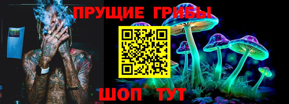 Псилоцибиновые грибы мицелий  Галлюциногенные грибы Psilocybe  Вход с VPN  Мичуринск 